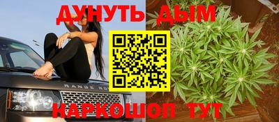 apvp Пугачёв