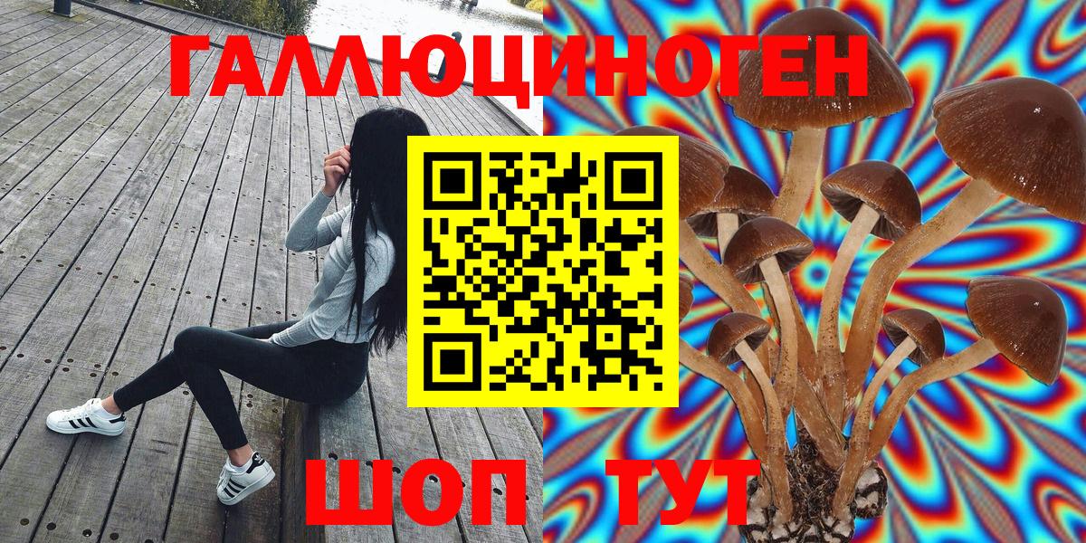 Галлюциногенные грибы Psilocybe Топки