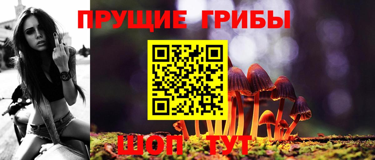 Псилоцибиновые грибы Cubensis  Псилоцибиновые грибы мицелий  Вход с VPN  Топки 