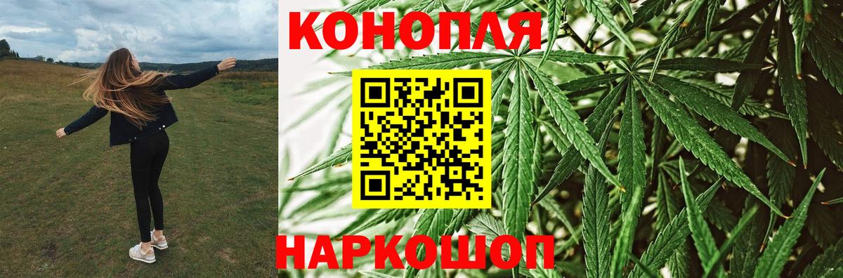 Канабис планчик  Вход с VPN  Топки  Марихуана сатива 